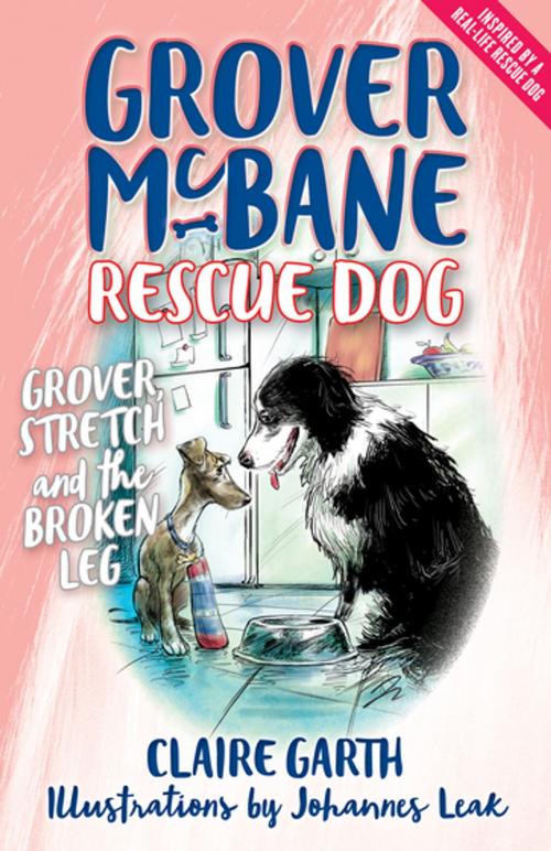 Cover of the book Grover, Stretch and the Broken Leg by Claire Garth, Schwartz Books Pty. Ltd.