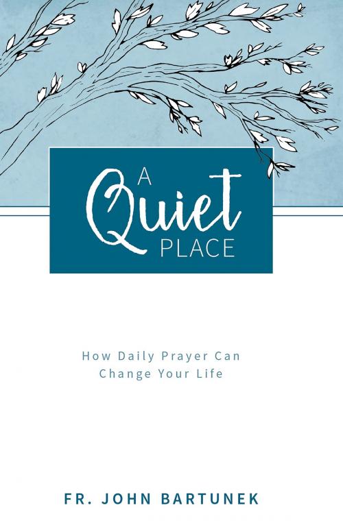 Cover of the book A Quiet Place by John Bartunek, Wellspring