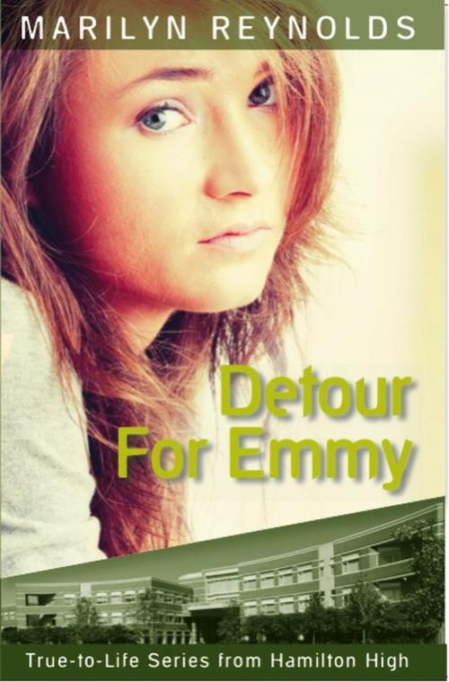Cover of the book Detour For Emmy by Marilyn Reynolds, New Wind Publishing