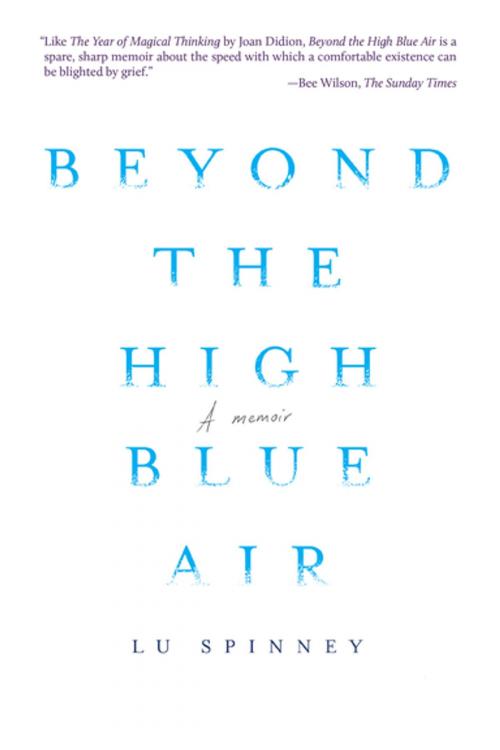 Cover of the book Beyond the High Blue Air by Lu Spinney, Catapult