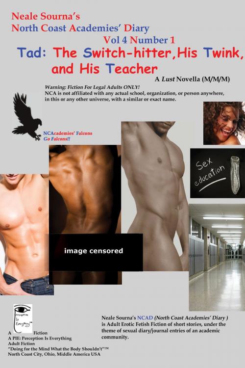 Cover of the book Tad: The Switch-hitter, His Twink, and His Teacher by Neale Sourna, PIE: Perception Is Everything
