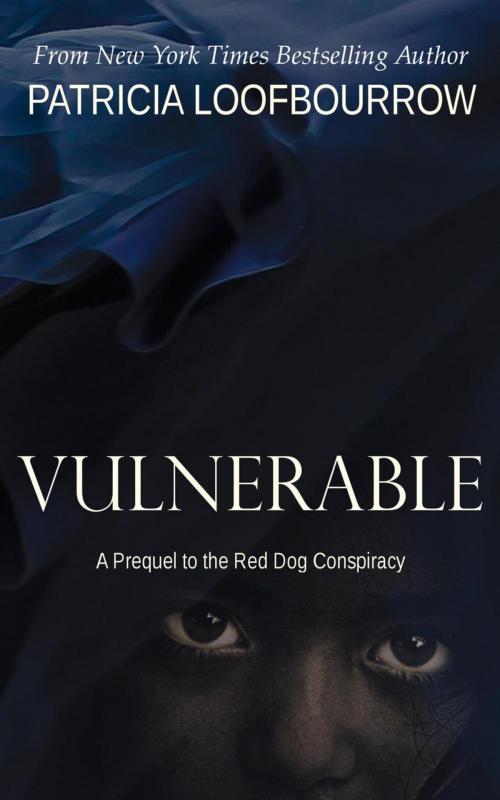 Cover of the book Vulnerable: A Prequel to the Red Dog Conspiracy by Patricia Loofbourrow, Red Dog Press LLC