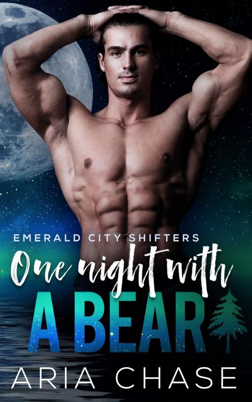Cover of the book One Night With A Bear by Aria Chase, Demimonde Press