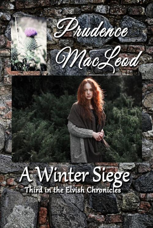 Cover of the book A Winter Siege by Prudence Macleod, Shadoe Publishing