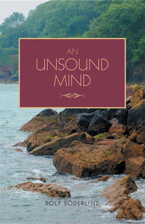 Cover of the book An Unsound Mind by Rolf Söderlind, Rolf Soderlind