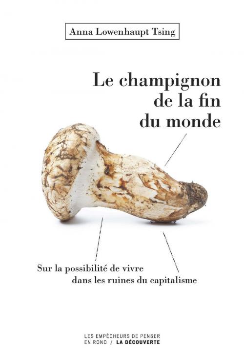 Cover of the book Le champignon de la fin du monde by Anna Lowenhaupt TSING, Isabelle STENGERS, La Découverte