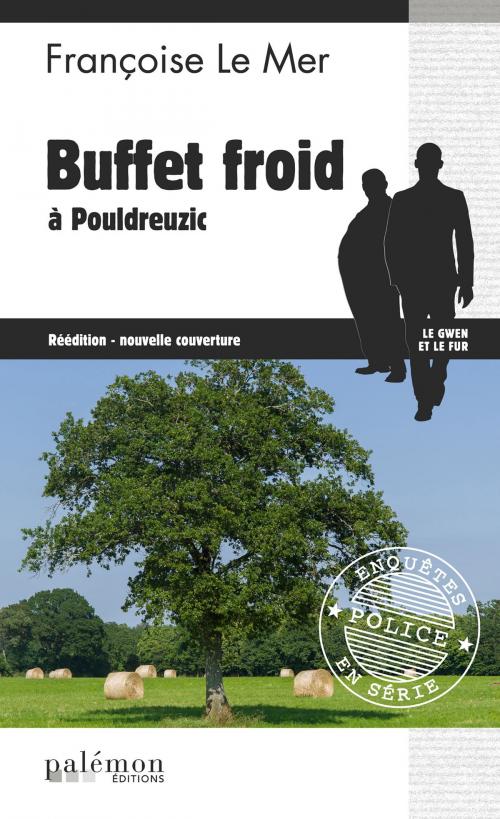 Cover of the book Buffet froid à Pouldreuzic by Françoise Le Mer, Editions du Palémon