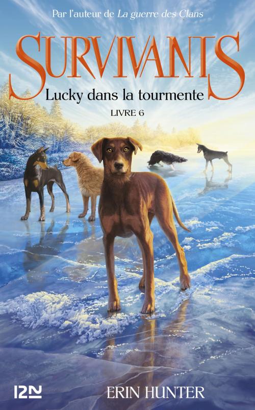 Cover of the book Survivants - tome 6 : Lucky dans la tourmente by Erin HUNTER, Univers Poche