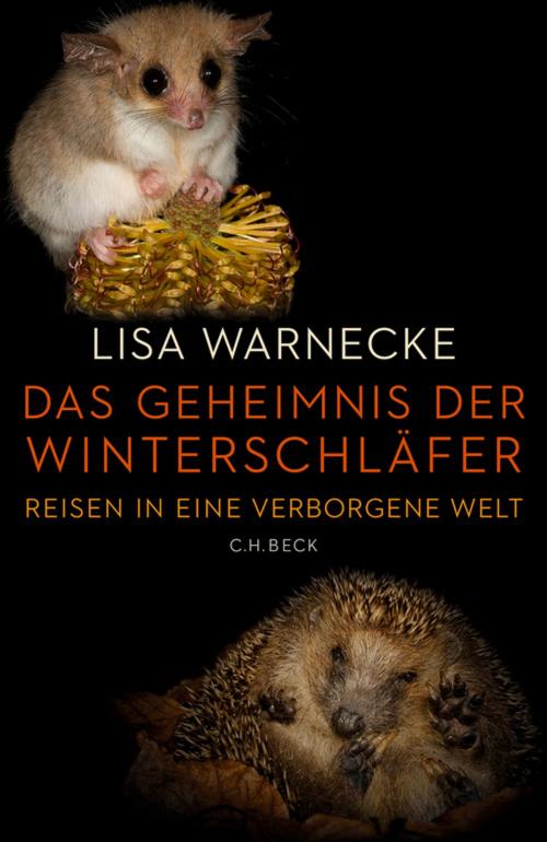 Cover of the book Das Geheimnis der Winterschläfer by Lisa Warnecke, C.H.Beck