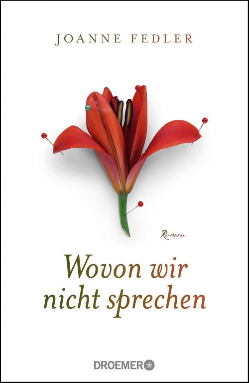 Cover of the book Wovon wir nicht sprechen by Joanne Fedler, Droemer eBook