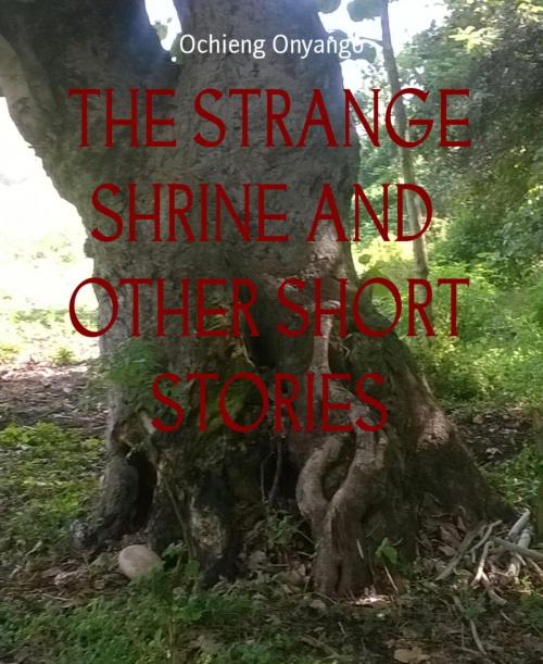 Cover of the book THE STRANGE SHRINE AND OTHER SHORT STORIES by Ochieng Onyango, BookRix