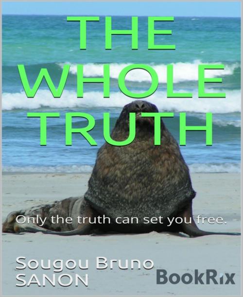 Cover of the book The whole truth by Sougou Bruno SANON, BookRix