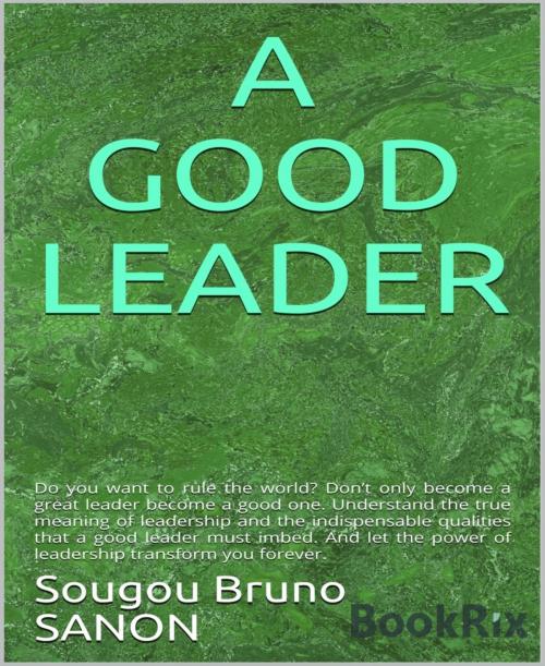 Cover of the book A good leader by Sougou Bruno SANON, BookRix