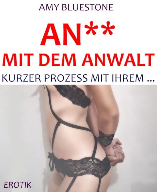 Cover of the book An** mit dem Anwalt by Amy Bluestone, BookRix