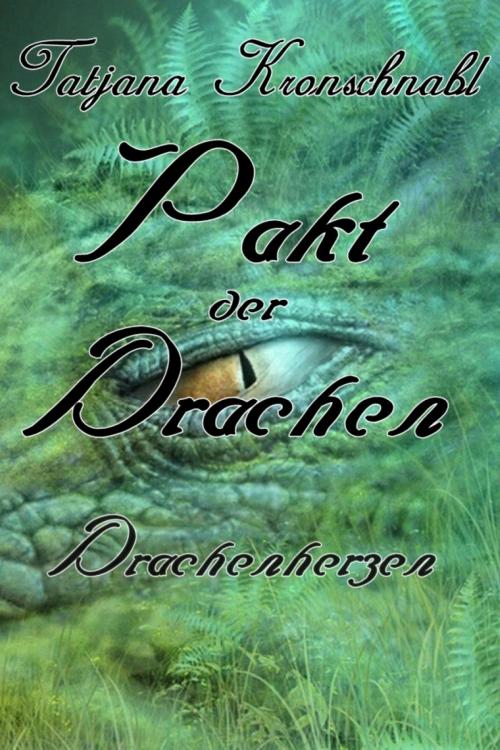 Cover of the book Pakt der Drachen 6 by Tatjana Kronschnabl, BookRix
