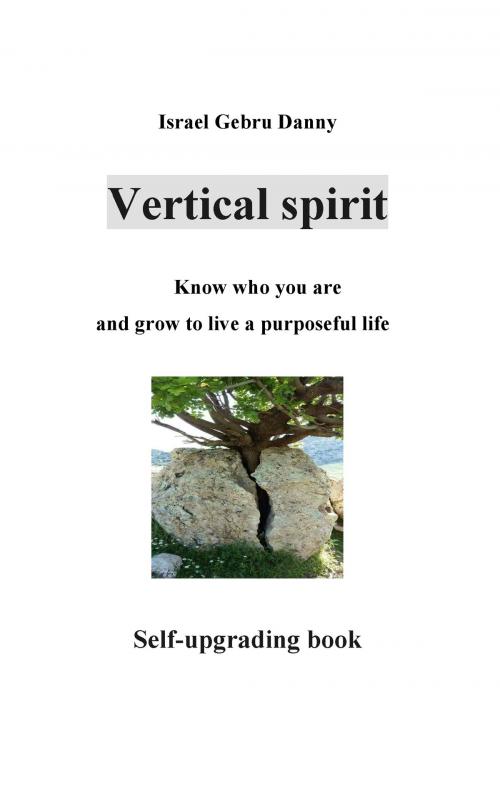 Cover of the book Vertical Spirit by Israel Danny Gebru, Books on Demand