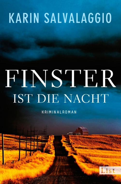 Cover of the book Finster ist die Nacht by Karin Salvalaggio, Ullstein Ebooks