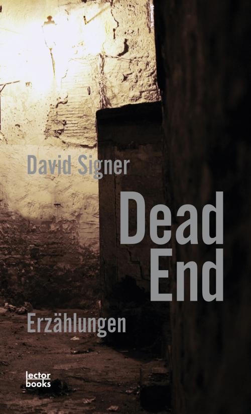 Cover of the book Dead End by David Signer, lectorbooks