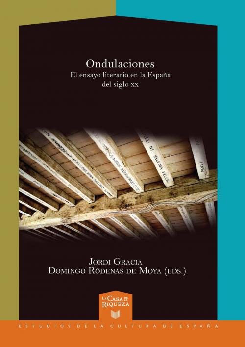 Cover of the book Ondulaciones by , Iberoamericana Editorial Vervuert