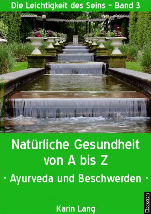 Cover of the book Natürliche Gesundheit von A bis Z by Karin Lang, Ebozon Verlag