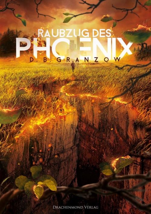 Cover of the book Raubzug des Phoenix by D. B. Granzow, Drachenmond Verlag