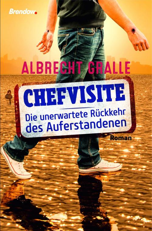 Cover of the book Chefvisite. Die unerwartete Rückkehr des Auferstandenen by Albrecht Gralle, Brendow, J