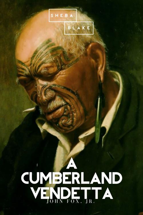 Cover of the book A Cumberland Vendetta by John Fox, Sheba Blake Publishing