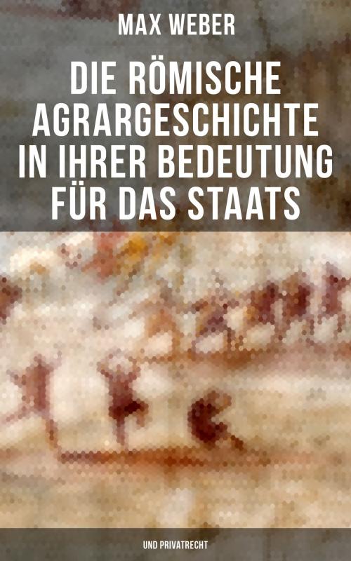 Cover of the book Die römische Agrargeschichte in ihrer Bedeutung für das Staats- und Privatrecht by Max Weber, Musaicum Books