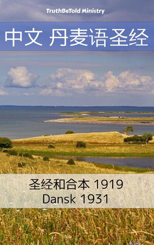 Cover of the book 中文 丹麦语圣经 by TruthBeTold Ministry, PublishDrive