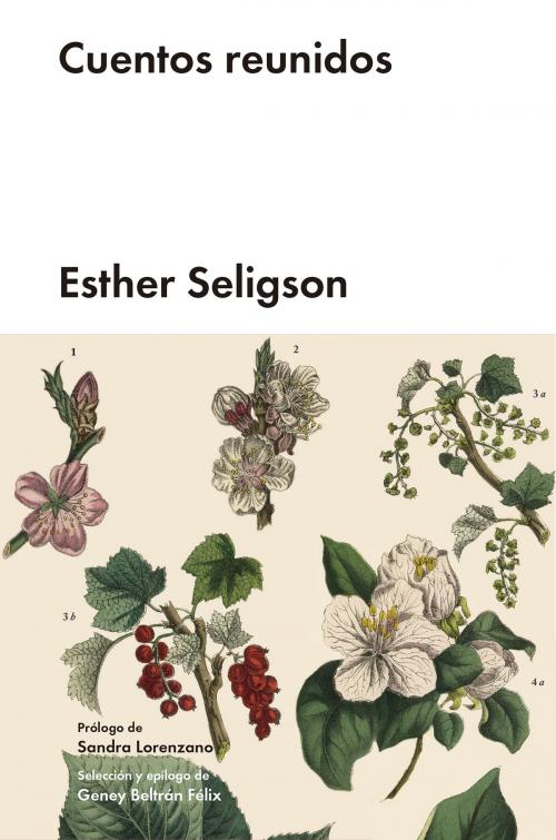 Cover of the book Cuentos reunidos by Esther Seligson, MALPASO