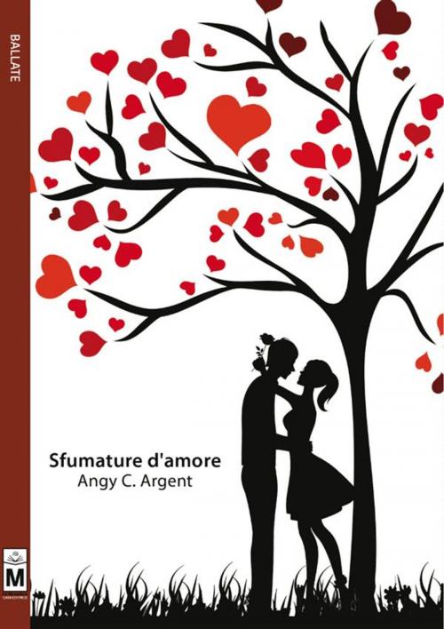Cover of the book Sfumature d'amore by Angy C. Argent, Le Mezzelane Casa Editrice