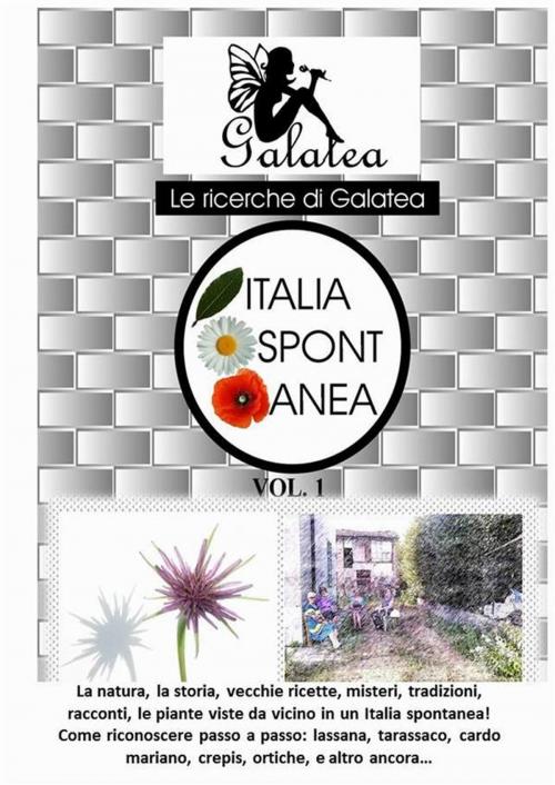 Cover of the book Italia spontanea by Galatea, Profondo Editore