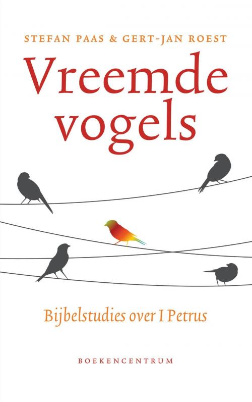Cover of the book Vreemde vogels by Stefan Paas, Gert-Jan Roest, VBK Media