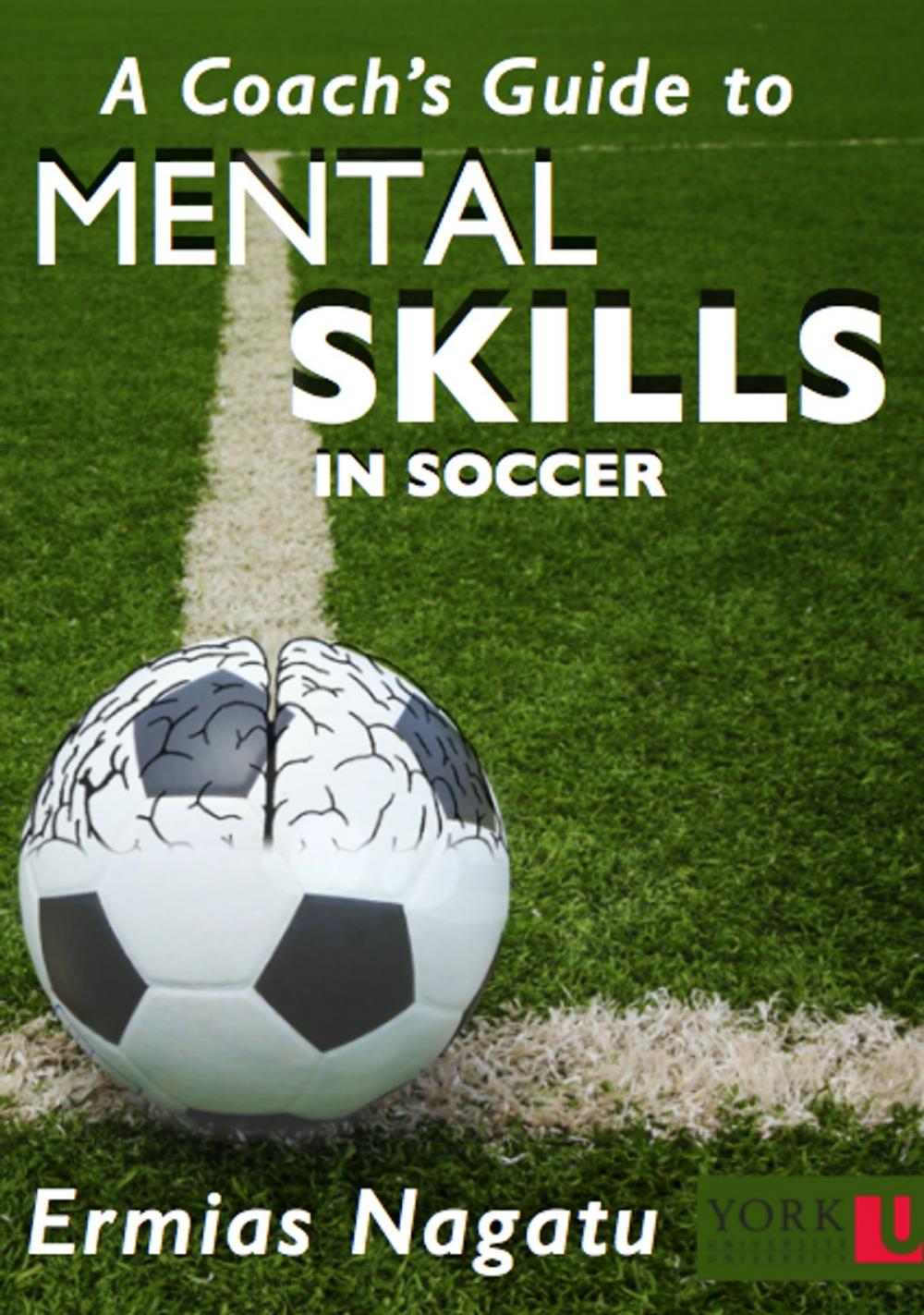 Big bigCover of A Coach's Guide to Mental Skills in Soccer