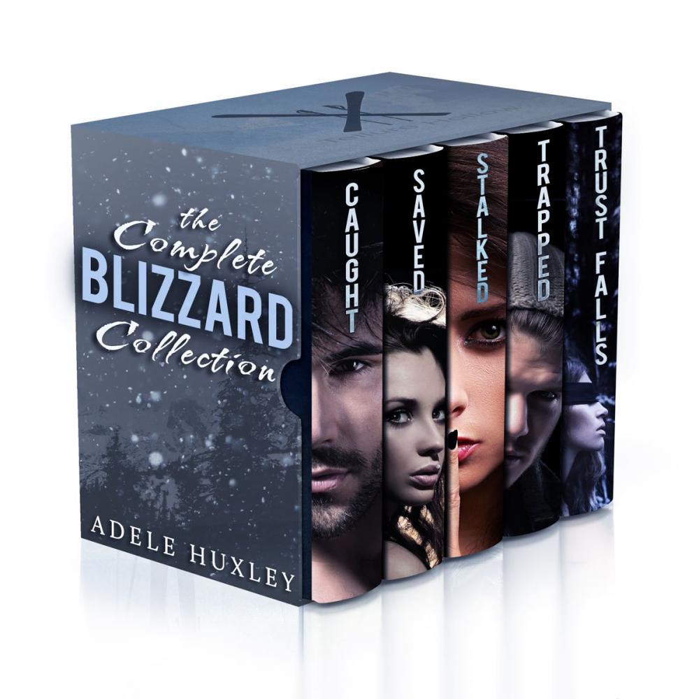 Big bigCover of The Complete Blizzard Collection