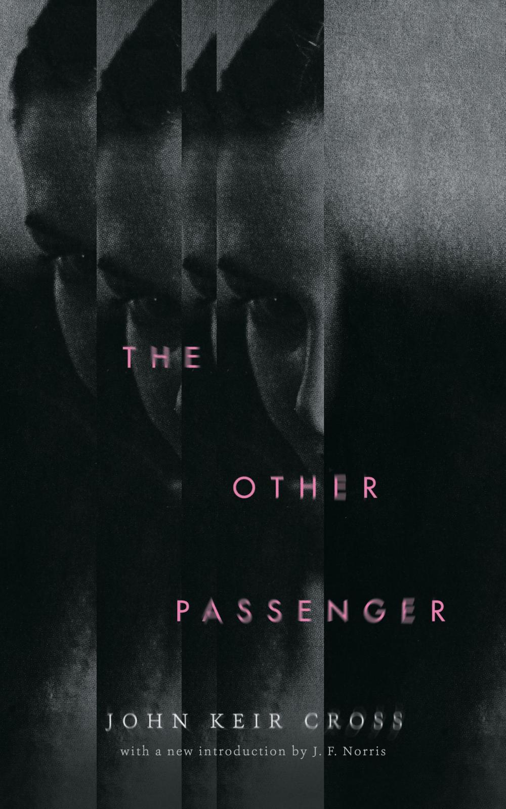 Big bigCover of The Other Passenger