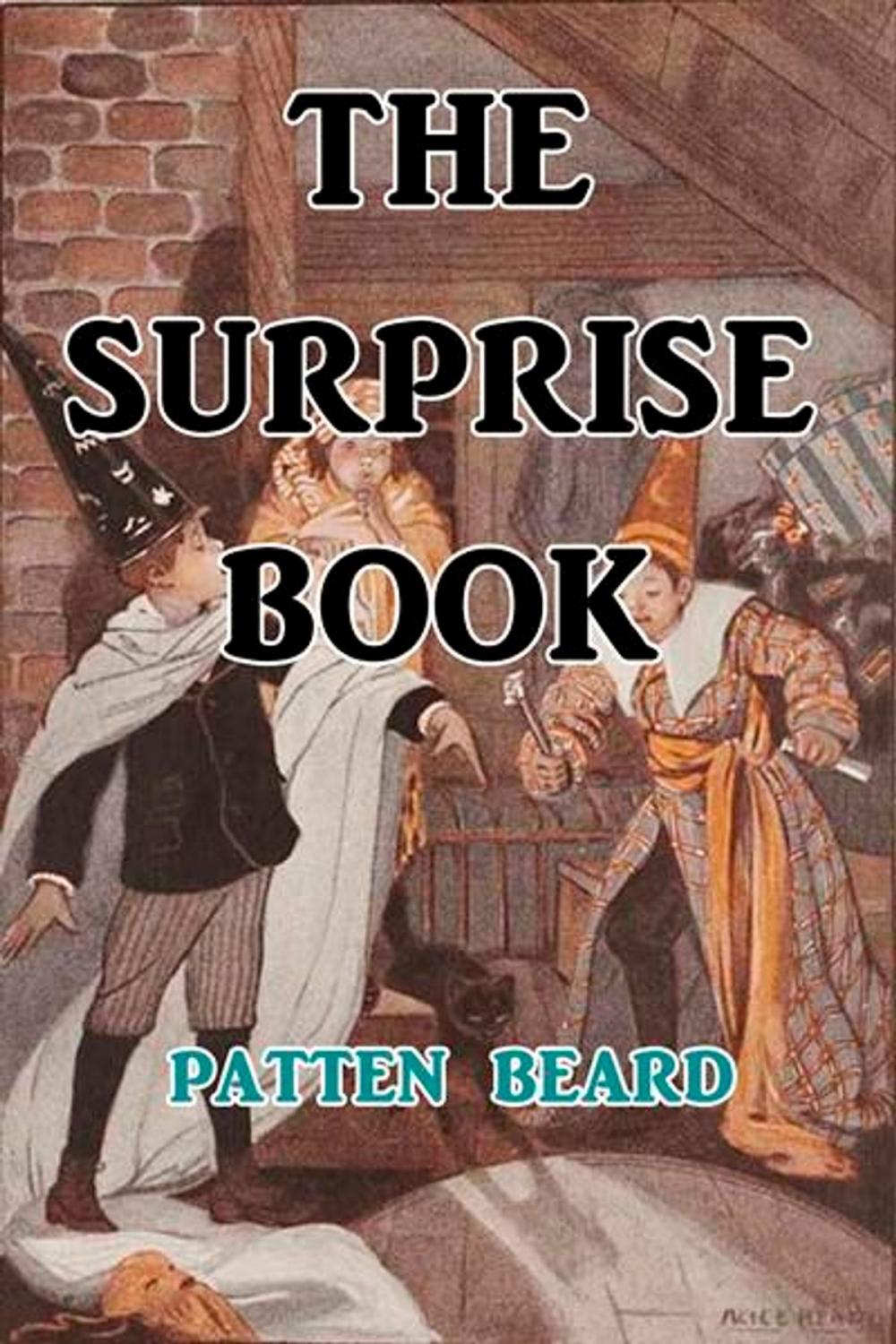 Big bigCover of The Surprise Book