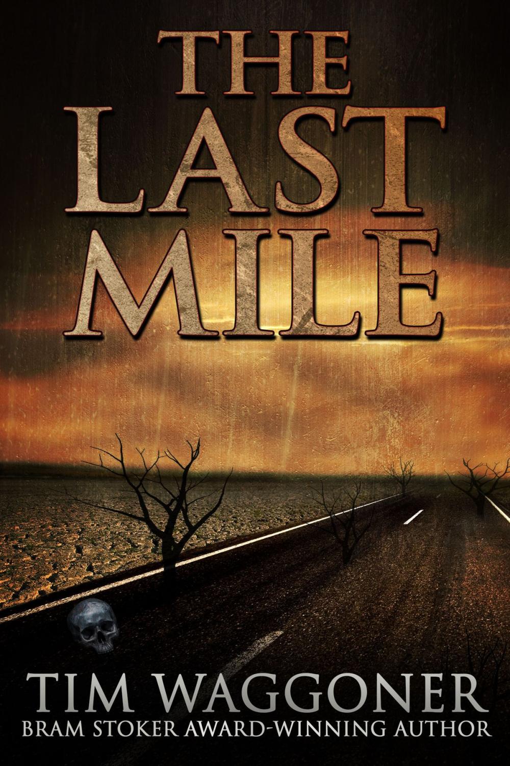 Big bigCover of The Last Mile