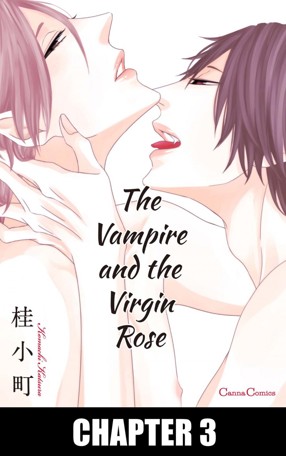 Big bigCover of The Vampire and the Virgin Rose (Yaoi Manga)