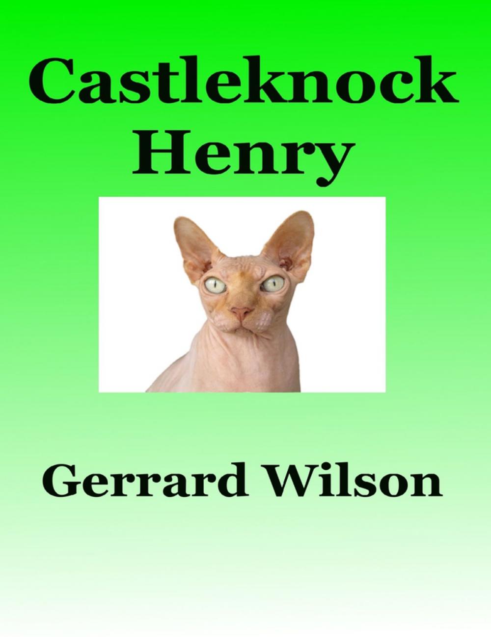 Big bigCover of Castleknock Henry
