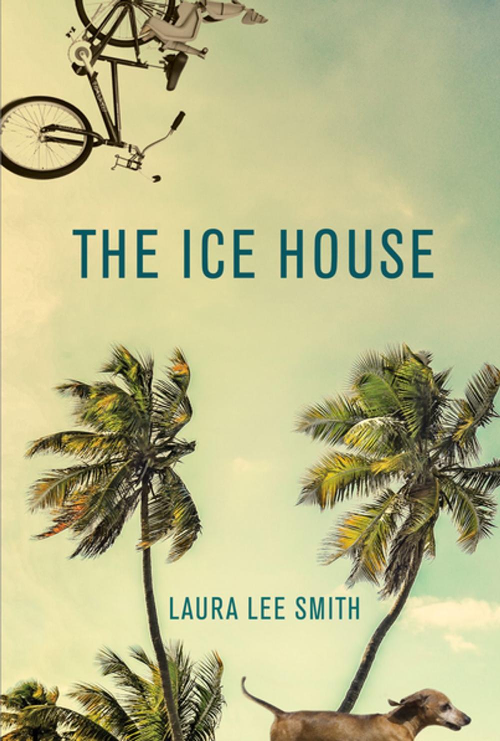 Big bigCover of The Ice House