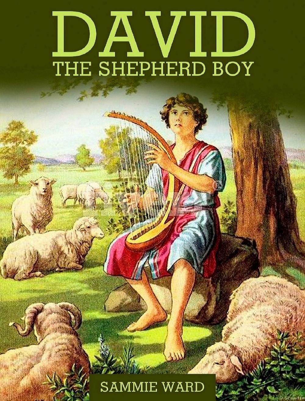 Big bigCover of David The Shepherd Boy (True Life) Book 2