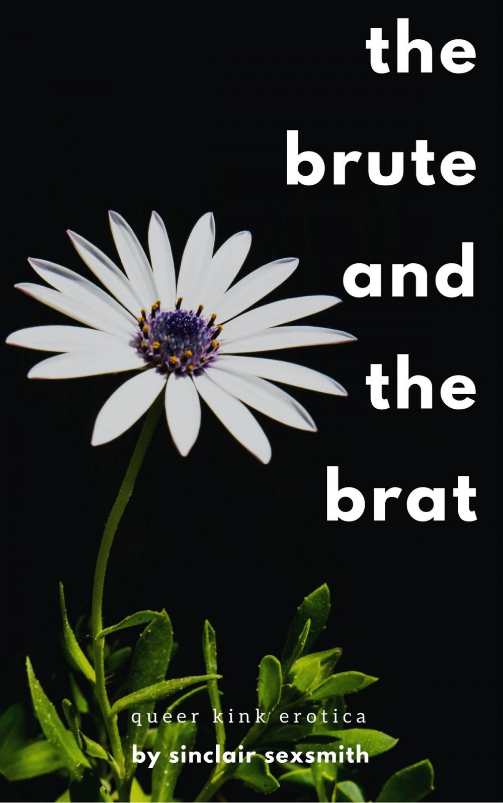 Big bigCover of The Brute and the Brat: Queer Kink Erotica