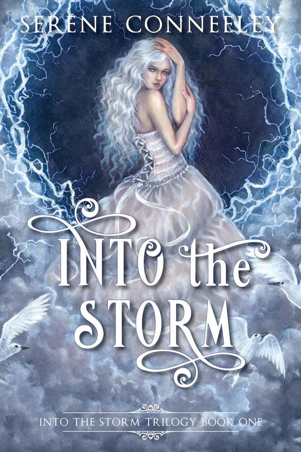 Big bigCover of Into the Storm