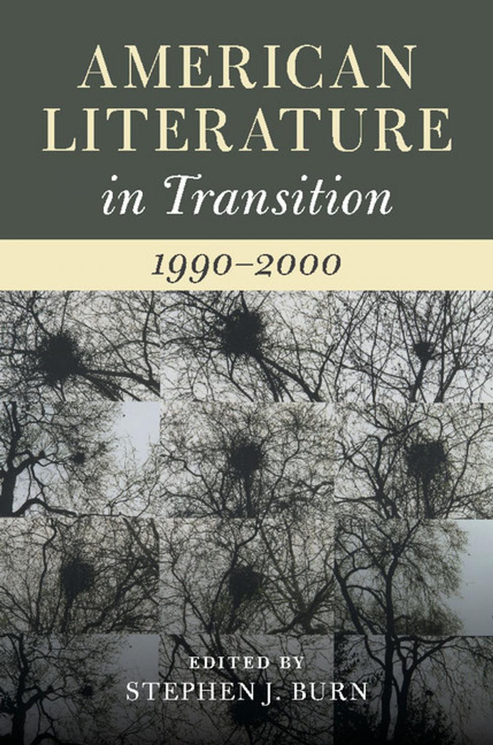 Big bigCover of American Literature in Transition, 1990–2000