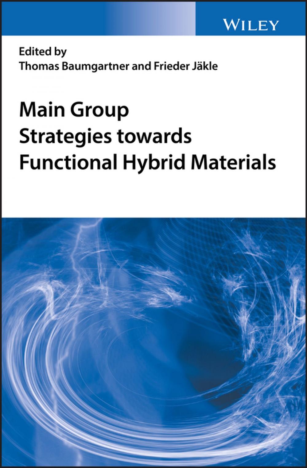 Big bigCover of Main Group Strategies towards Functional Hybrid Materials