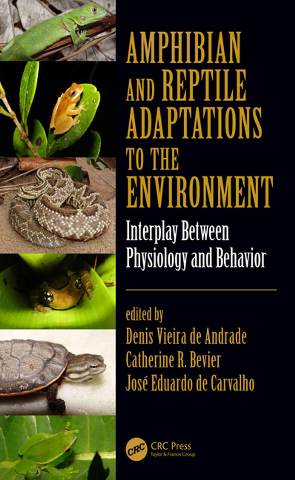 Big bigCover of Amphibian and Reptile Adaptations to the Environment
