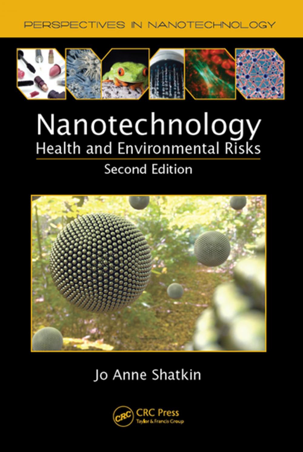 Big bigCover of Nanotechnology