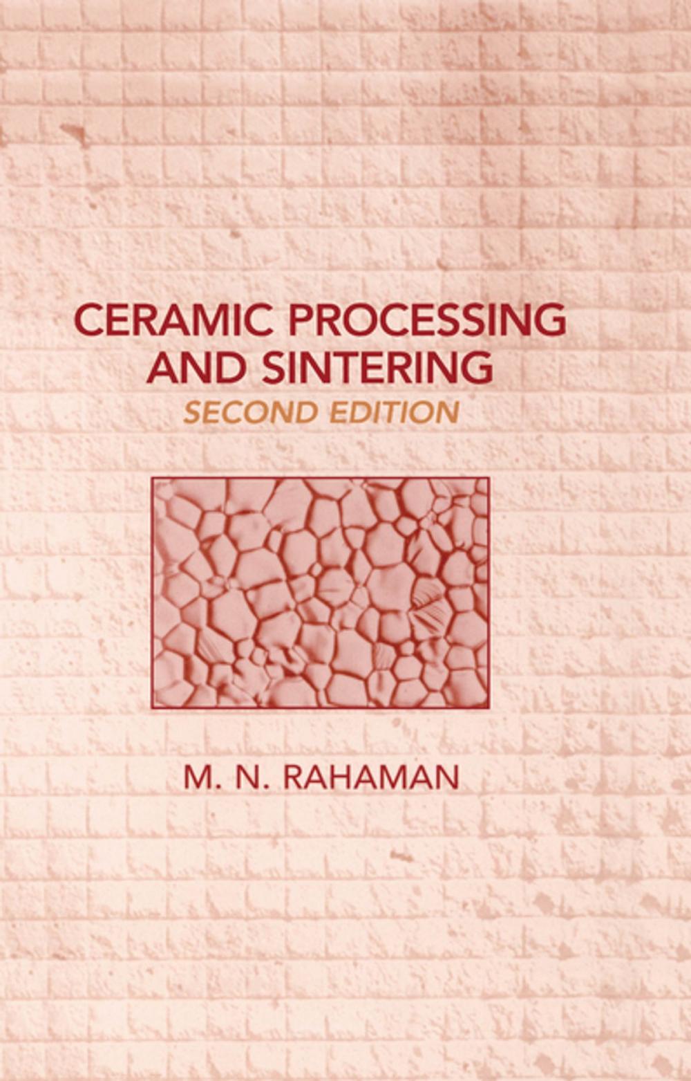 Big bigCover of Ceramic Processing and Sintering