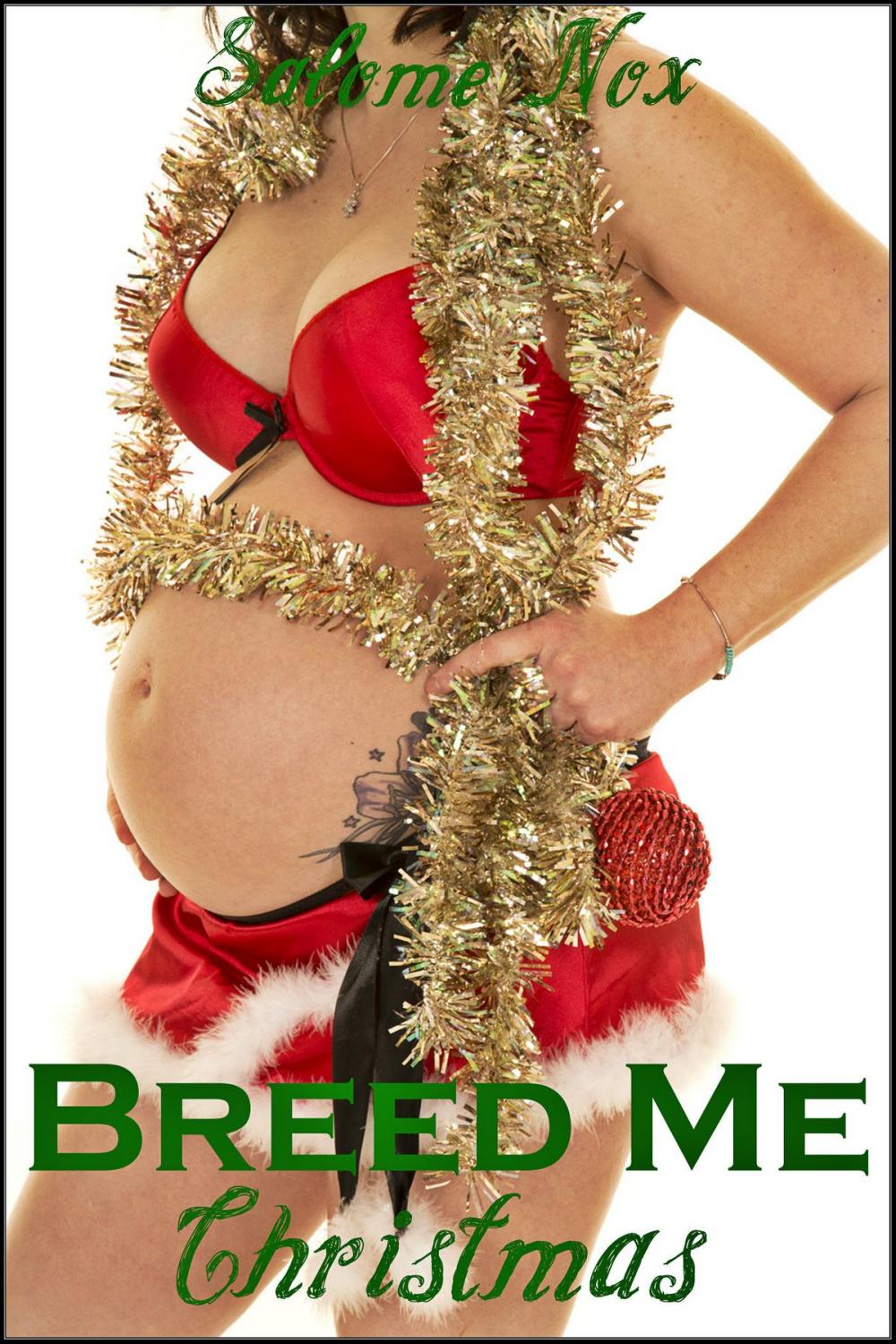 Big bigCover of Breed Me Christmas (Fertile Erotica)